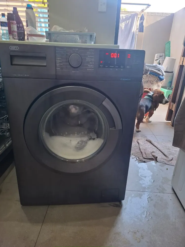 recent commercial appliance repair westville